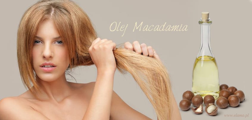 olej makadamia na włosy