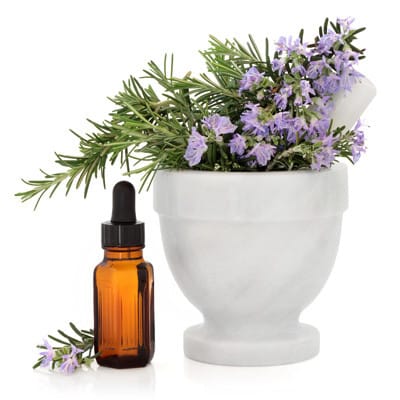 rozmaryn w moździeżu