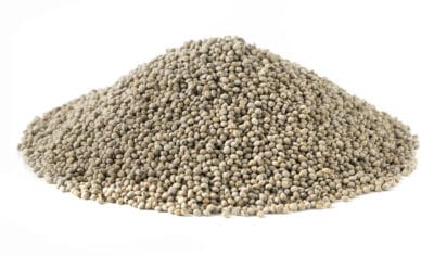 nasiona pachnotki zwyczajnej