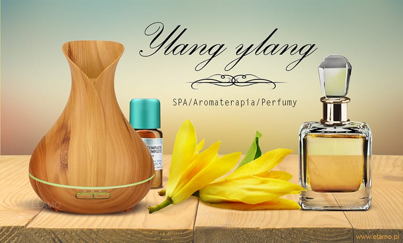 zastosowania olejku ylang w aromaterapii i perfumiarstwie