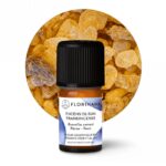 Olejek Olibanowy (Kadzidłowy) z Boswellia Carterii – FLORIHANA