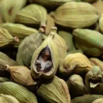 BIO Olejek Kardamonowy (Elletaria Cardamomum) - nasiona kardamonu stosowane do produkcji naturalnego olejku eterycznego, idealnego do aromaterapii i wspomagania trawienia.