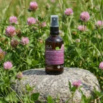 Koniczynkowy Ziołoocet stojący na kamieniu wśród kwitnącej czerwonej koniczyny.