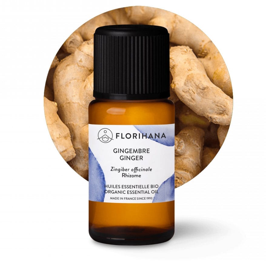 eteryczny olejek imbirowy z kłączy Zingiber officinale