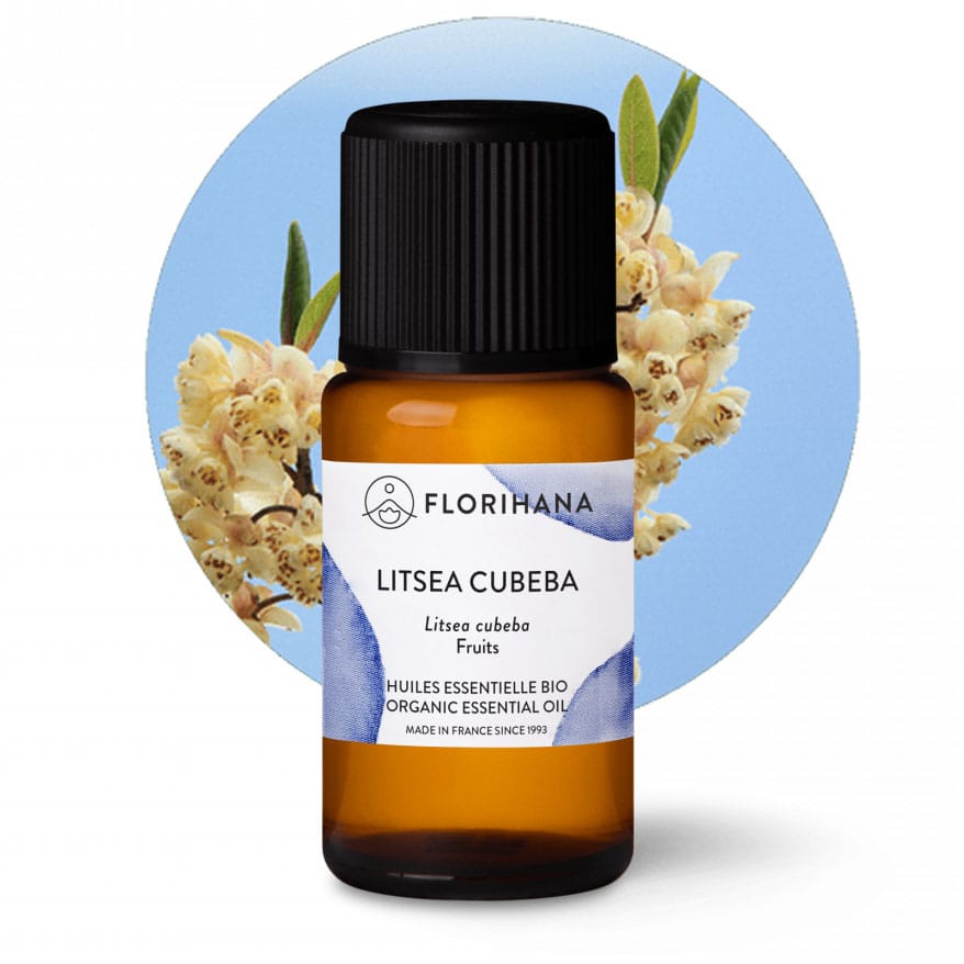 eteryczny olejek may chang z owoców litsea cubeba