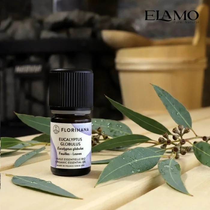 Mała butelka olejku eukaliptusowego 5ml Florihana wśród świeżych liści eukaliptusa w saunie; silny aromat udrażniający nos.