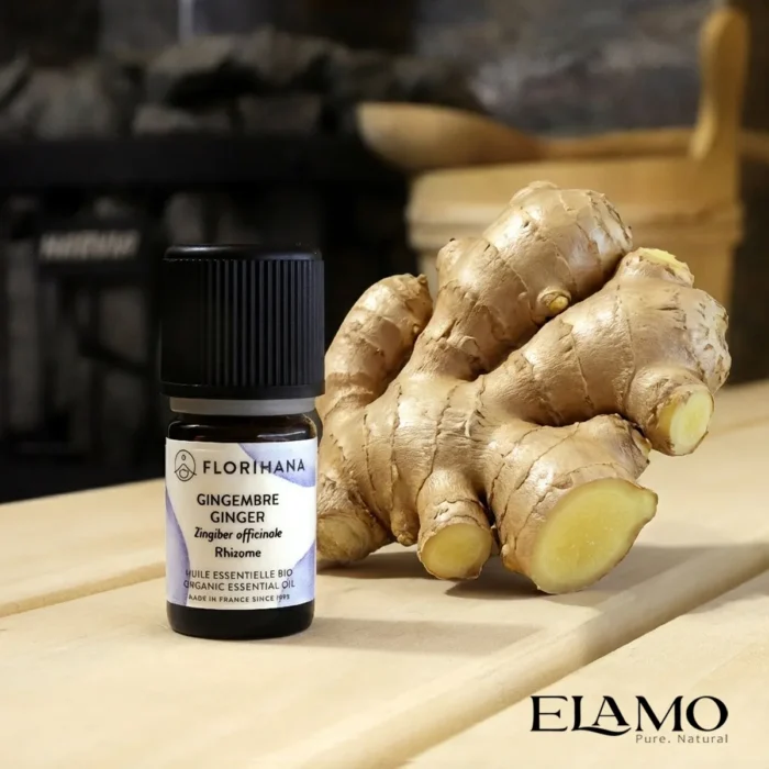 Mała buteleczka olejku imbirowego 5ml Florihana w saunie, oparta o dużą bulwę świeżego kłącza imbiru.