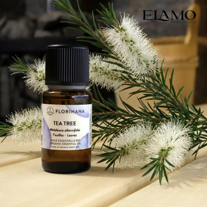 Duży olejek eteryczny Tea Tree 15ml marki Florihana w scenerii sauny, w tle piec i drewniany ceber; silny aromat ziołowy.