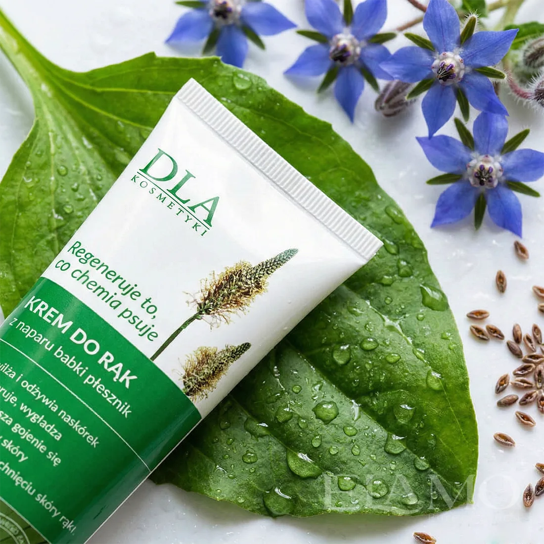 Tubka kremu do rąk z naparu babki płesznika na zielonym liściu z kroplami wody