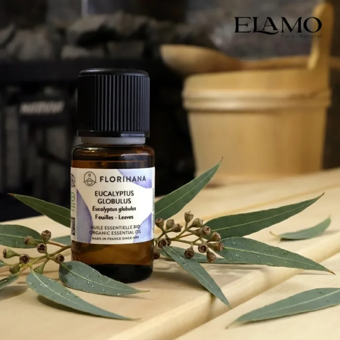 Duży olejek eteryczny Eukaliptus Globulus 15ml Florihana na ławie w saunie, w tle piec z kamieniami; klasyczny zapach do inhalacji.