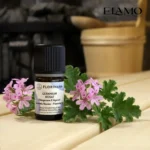 ała buteleczka olejku Geranium Rosat 5ml Florihana na jasnym drewnie w saunie, otoczona świeżymi, różowymi kwiatami pelargonii pachnącej.