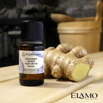 Duży olejek eteryczny Imbir (Ginger) 15ml Florihana stojący na drewnianej ławie w saunie obok przekrojonego, świeżego kłącza imbiru.