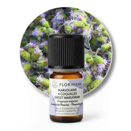 BIO Olejek Majerankowy Florihana Origanum majorana na tle kwitnących pąków majeranku słodkiego