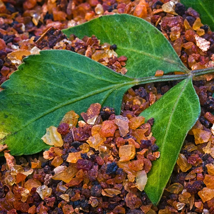 Zbliżenie na żywicę mirry (Commiphora myrrha) w postaci drobnych kryształków w różnych odcieniach brązu, leżących na tle zielonego liścia. Olejek mirrowy, uzyskiwany z tej żywicy, jest ceniony za swoje właściwości pielęgnacyjne, regeneracyjne i antyseptyczne w aromaterapii i kosmetyce.