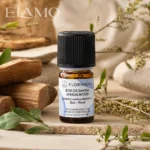 Naturalna aranżacja BIO olejku sandałowego Florihana z kamiennymi blokami i liśćmi sandałowca