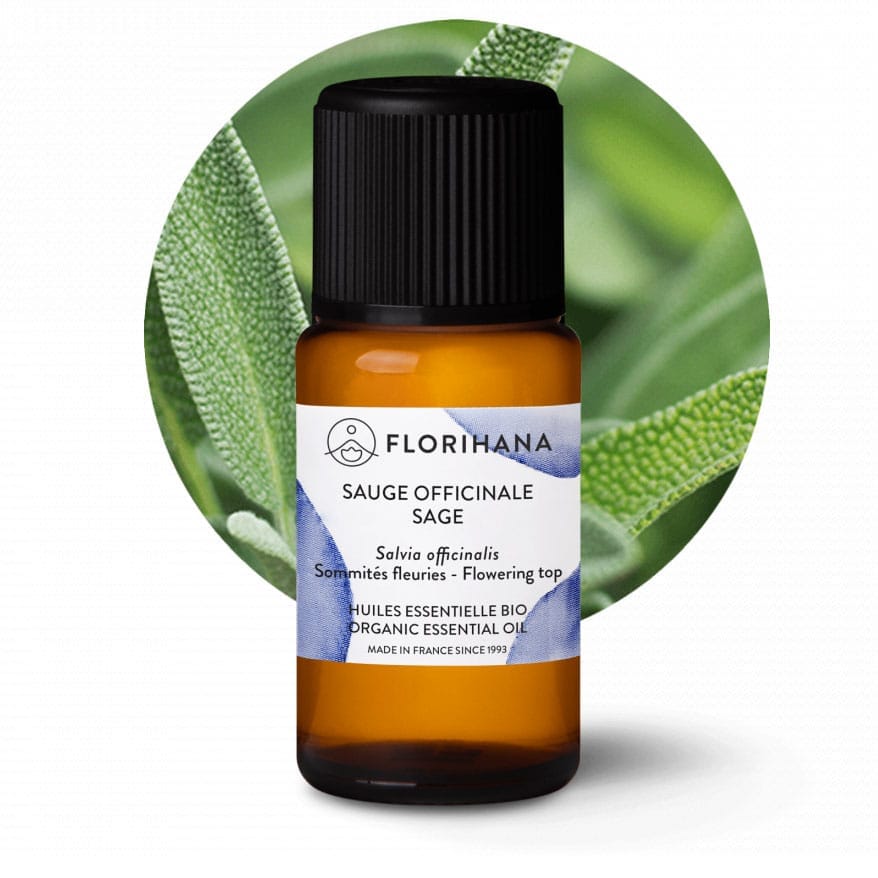 olejek eteryczny szałwii lekarskiej Salvia officinalis