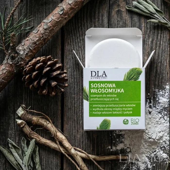 Otwarta Sosnowa Włosomyjka widoczna od góry na starym drewnie obok szyszki, korzenia mydlnicy i glinki.