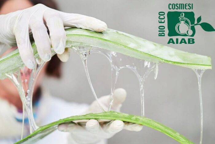 Aloes użyty do produkcji Żelu Aloesowego Pierpaoli Ekos jest jakości spożywczej certzfikowanz pryey AIAB Włoskie stowarzyszenie rolnictwa ekologicznego