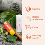 Rokitnikowa pomadka ochronna o zapachu cynamonu