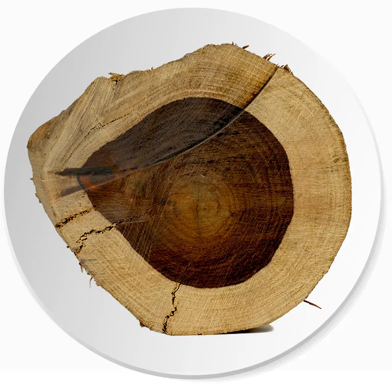 drzewo różane nuta zapachowa