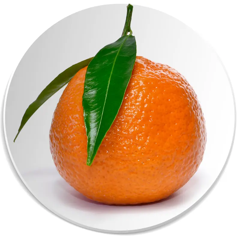 mandarynka nuta zapachowa