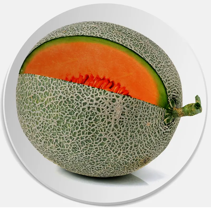 melon nuta zapachowa
