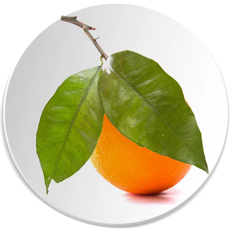 petitgrain nuta zapachowa