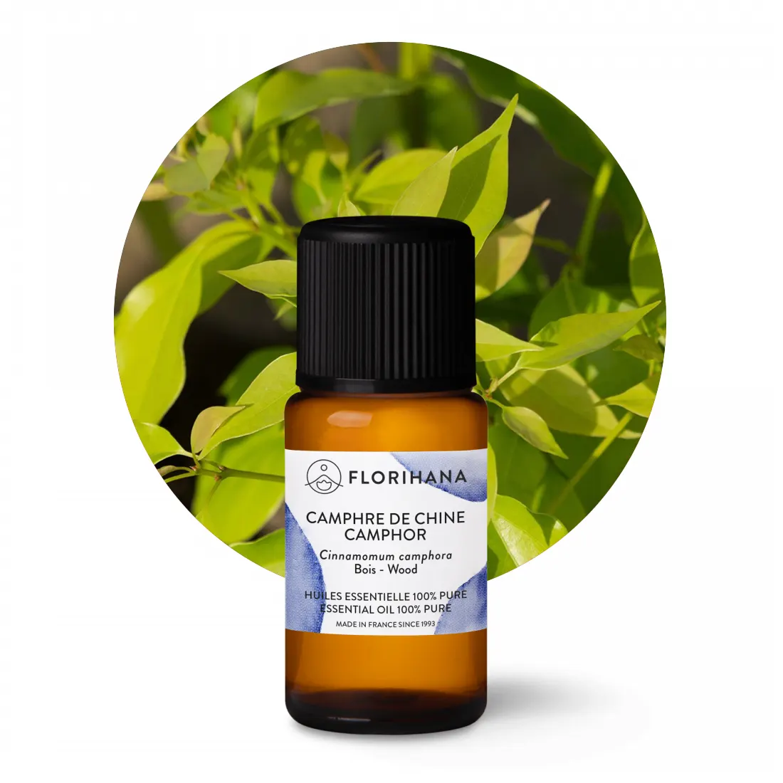 eteryczny-olejek-kamforowy-florihana Olejk kamforowy Florihana w ciemnym butelce, stojącej obok gałązki kamforowca