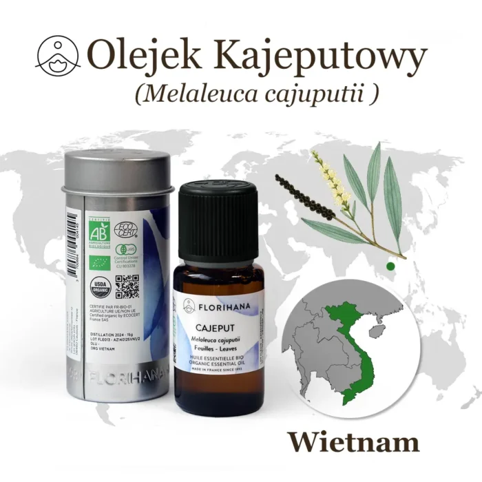 BIO Olejek Kajeputowy (Melaleuca cajuputii) Florihana – Naturalny Antyseptyk z Wietnamu - obrazek 3