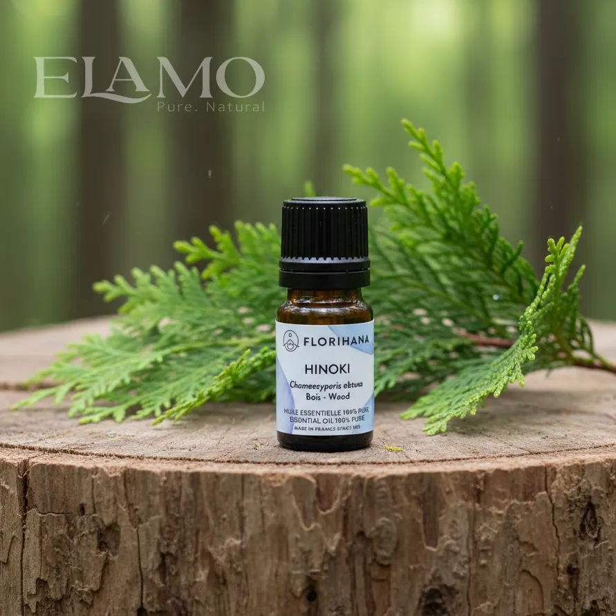 Olejek eteryczny hinoki Florihana — butelka na pniu, gałązki cyprysu japońskiego (Chamaecyparis obtusa) z łuskowatymi liśćmi, w tle las.