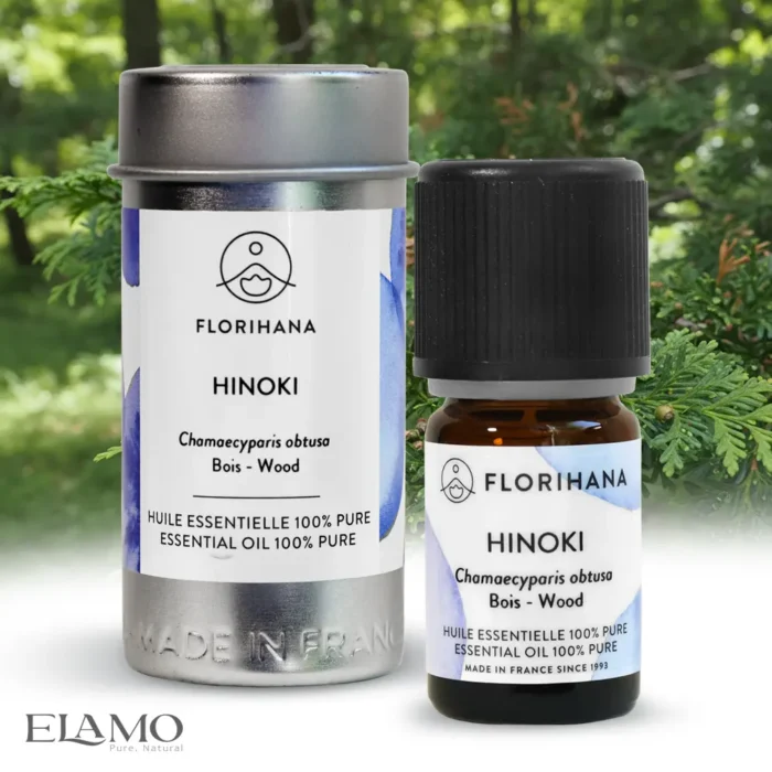 Olejek hinoki – dziko pozyskiwany surowiec z Japonii, destylacja parowa z drewna