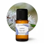 Naturalny olejek kajeputowy Florihana z liści Melaleuca cajuputii – produkt ekologiczny z Wietnamu