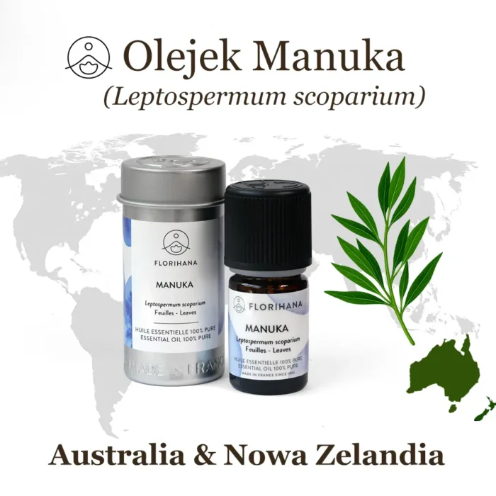 Olejek Manuka - Naturalny Olejek Eteryczny | Florihana - obrazek 4