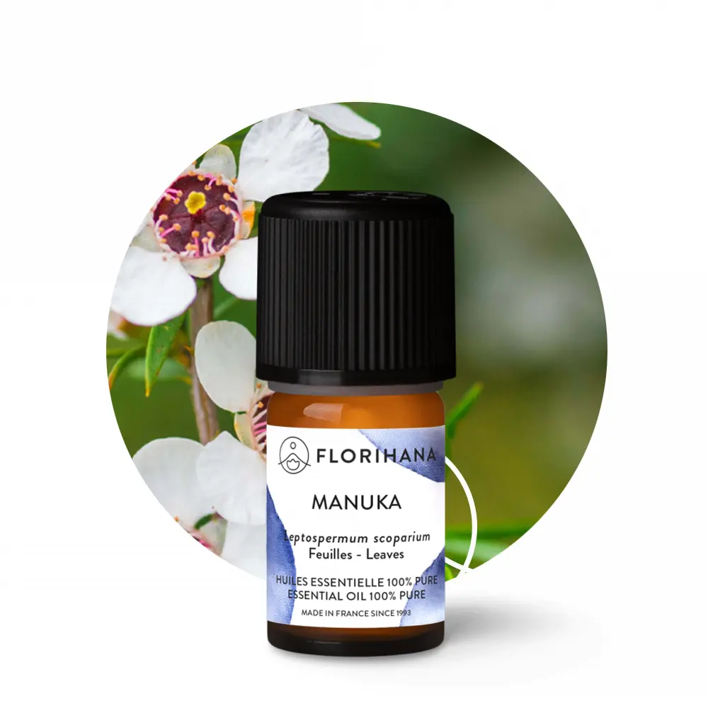 olejek-manuka-florihana-na-tle-kwiatow Olejek Manuka Florihana – naturalny produkt na tle kwiatów manuka