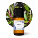 eteryczny olejek niaouli florihana