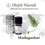 Olejek Niaouli Florihana z Madagaskaru – ekologiczny olejek eteryczny z liści Melaleuca quinquenervia