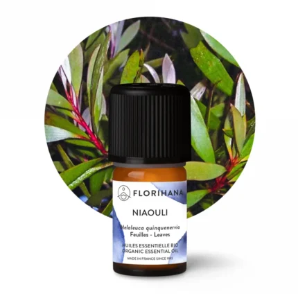 Olejek eteryczny Niaouli Florihana 5g – certyfikowany organiczny olejek z Madagaskaru w aluminiowym opakowaniu
