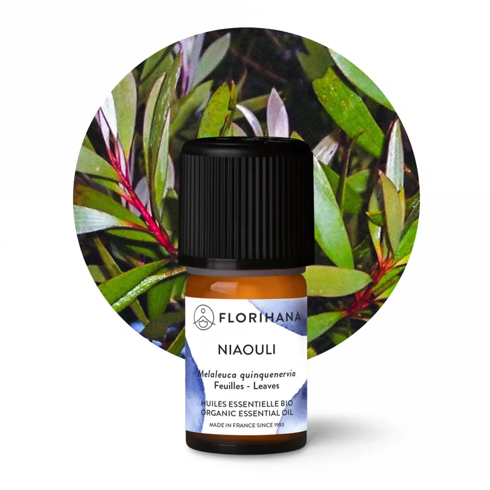 olejek-niaouli-florihana-na-tle-lisci Olejek eteryczny Niaouli Florihana 5g – certyfikowany organiczny olejek z Madagaskaru w aluminiowym opakowaniu