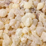 Naturalna żywica Copaiba (Copaifera officinalis) w formie jasnych kawałków, używana do produkcji olejku eterycznego