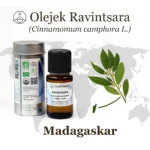 Widok na plantację cynamonowca kamforowego (Cinnamomum camphora) na Madagaskarze, skąd firma Florihana pozyskuje surowiec do ekologicznego olejku Ravintsara.