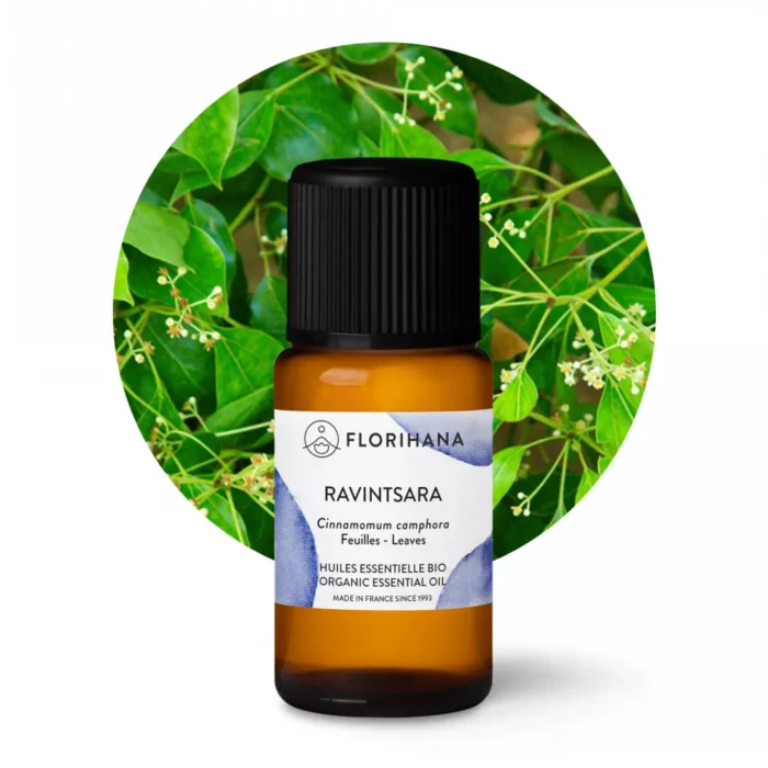 olejek eteryczny ravintsara 15g florihana