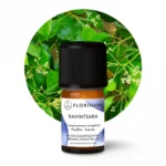 eteryczny olejek ravintsara florihana 5g