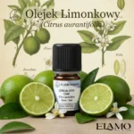 Olejek limonkowy Florihana na tle ilustracji botanicznej Citrus aurantifolia – owoce, liście i kwiaty limonki