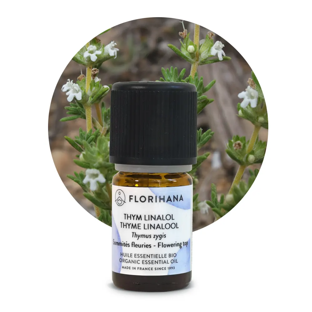 florihana olejek tymiankowy linalol thymus zygis kwiaty