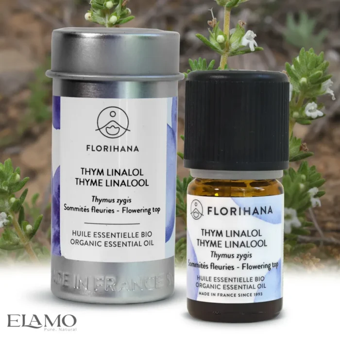 Zestaw Florihana: butelka i tuba olejku tymiankowego linalol na tle Thymus zygis