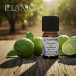 Naturalny olejek limetkowy Florihana na tle hiszpańskiego sadu cytrusowego z owocami limonki
