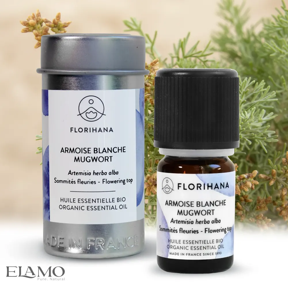 Olejek eteryczny bylica biała Florihana — butelka i tuba na tle kwitnącego krzewu Artemisia herba-alba