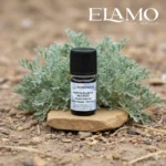 Buteleczka olejku bylica biała Florihana na kamieniu w naturalnym środowisku stepowo-pustynnym, młoda siewka Artemisia herba-alba w tle