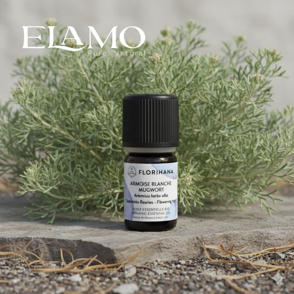 Eteryczny olejek bylica białej Florihana ustawiony na kamieniu, za nim gęsty krzew Artemisia herba-alba — sesja plenerowa