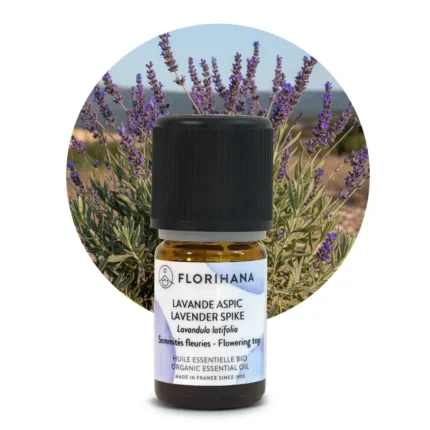 Główne zdjęcie produktu – olejek lawendy spikowej Florihana 5 ml